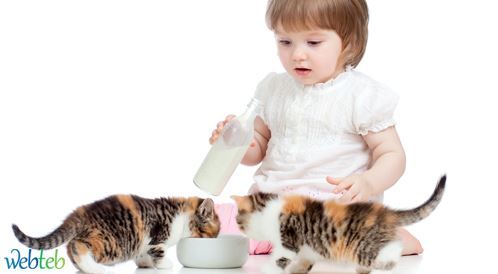 الأطفال وتربية القطط: معلومات هامة